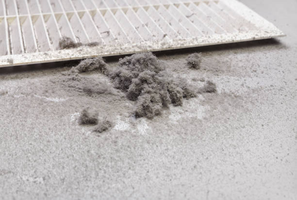 Best HVAC Duct Inspection Services  in Kings Grant, NC