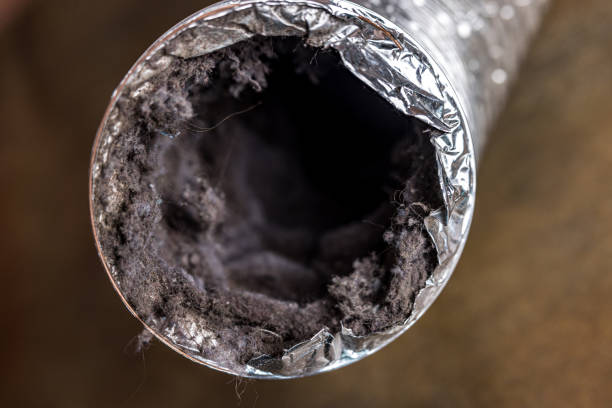 Best HVAC Air Duct Cleaning  in Kings Grant, NC